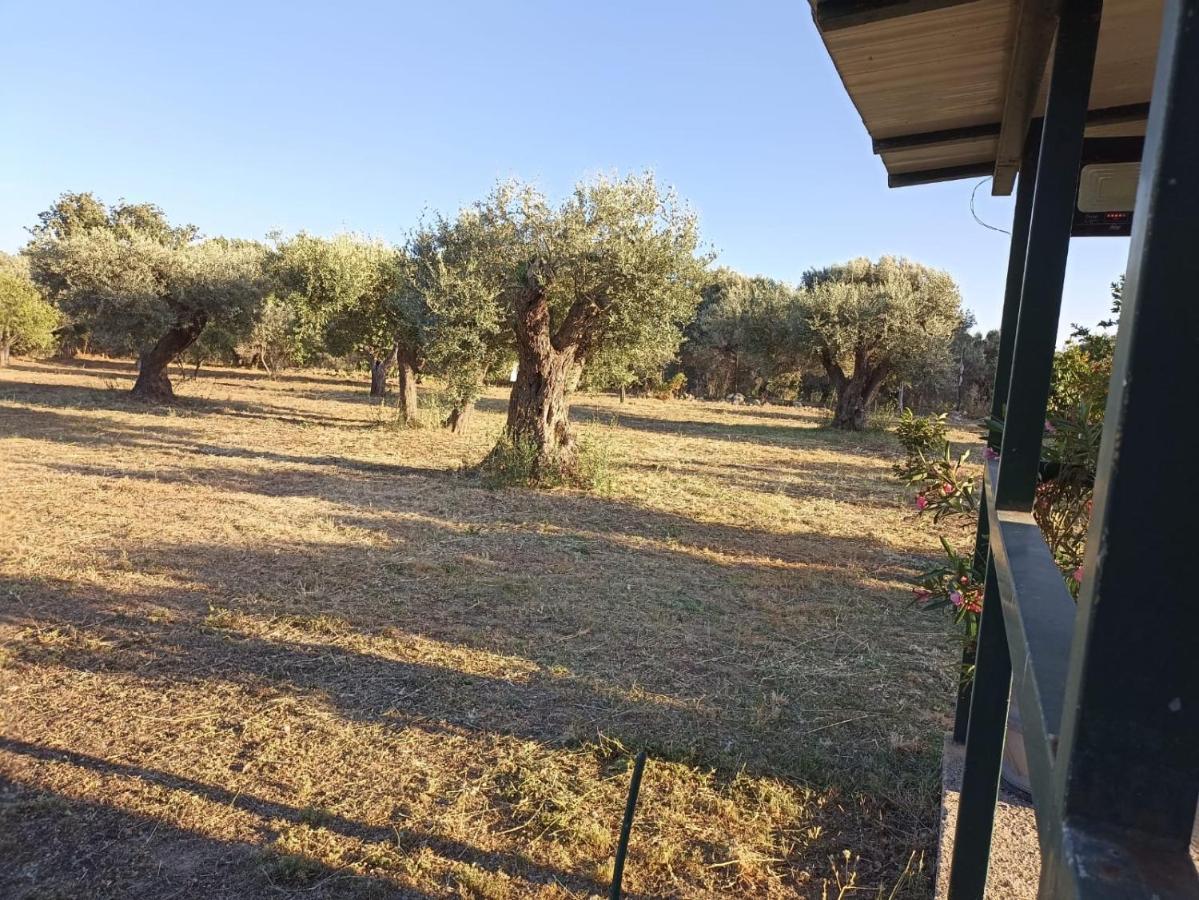 Relax E Tranquillita Villa Monasterace Exterior photo